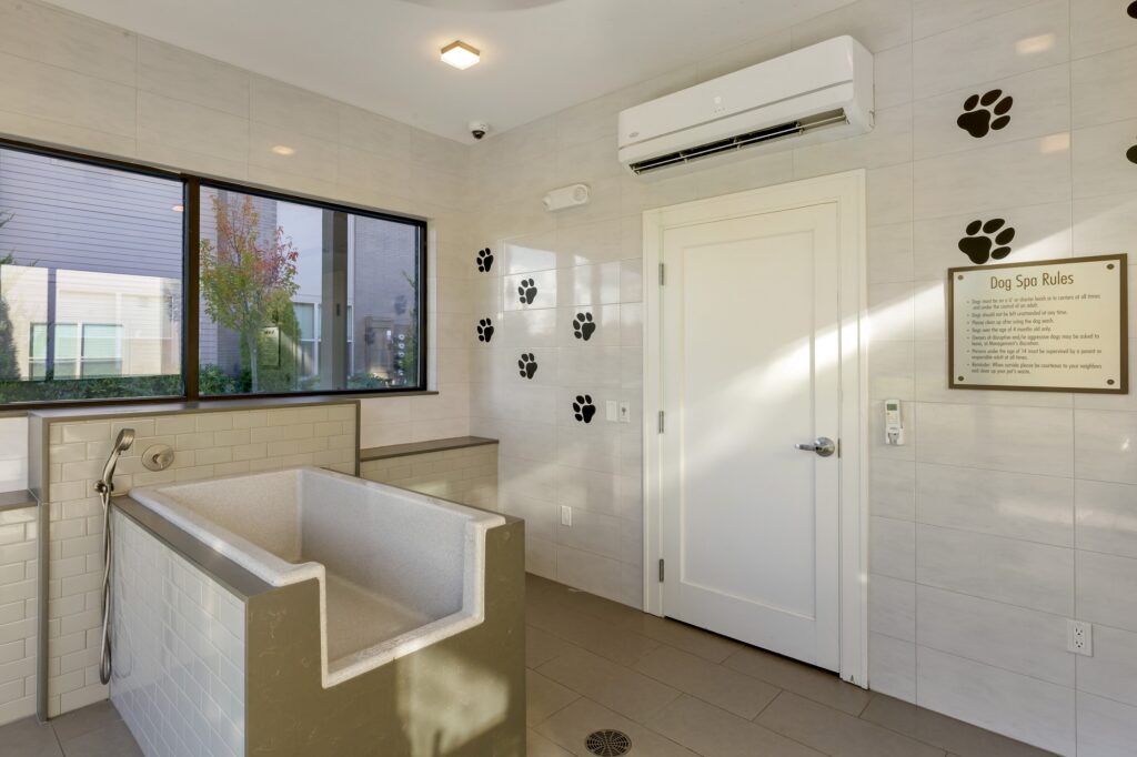 Indoor dog wash area with tile flooring and designer lighting